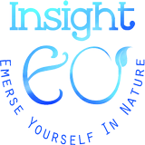 Insight EO أيقونة