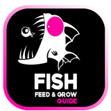 Guide For Fish feed And Grow icône
