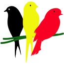 Birds Of Uganda aplikacja