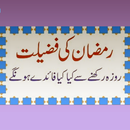 Ahmiyat-e-Ramzan Free Offline APK