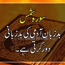 Surah Shams free offline with Urdu Translation APK