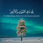 Islamic Reminders আইকন