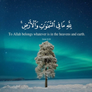 Islamic Reminders Quotes APK
