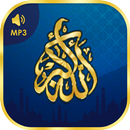 APK Beautiful Islamic Ringtones 2020