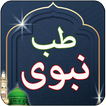 Tib e Nabvi