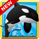 Orca Feast - New!