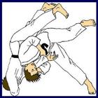 techniques de combat de judo icône
