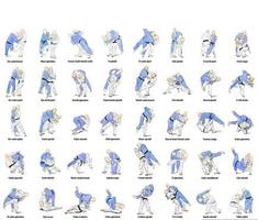 techniques de combat de judo Affiche