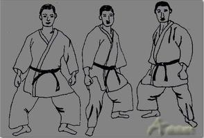 Judo Fighting Techniques syot layar 1
