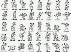Judo Fighting Techniques syot layar 2