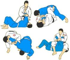 Judo Fighting Techniques syot layar 3