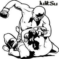 Le meilleur guide d'arts martiaux Jujitstu Affiche
