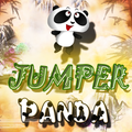 Jumper Panda