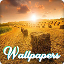 Country Wallpaper Images HD APK