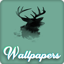 Vector Wallpaper Images HD APK