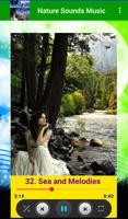 Beautiful Music Nature Sounds screenshot 3