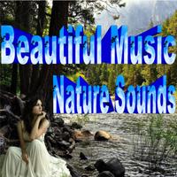 Beautiful Music Nature Sounds screenshot 1