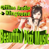 Beautiful Dizi Music biểu tượng