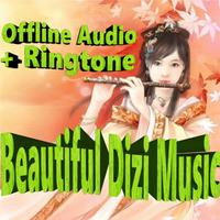 Beautiful Dizi Music screenshot 1