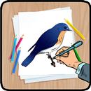 Comment dessiner des oiseaux APK