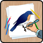 Comment dessiner des oiseaux icône