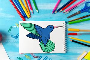 كيفية رسم الطيور تصوير الشاشة 2
