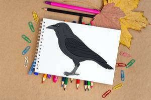 كيفية رسم الطيور تصوير الشاشة 3