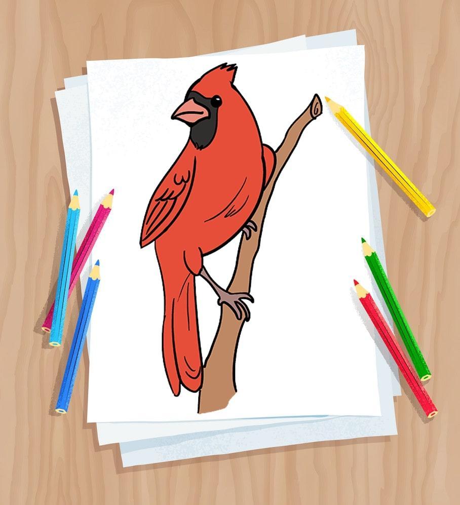 Descarga de APK de Cómo dibujar pájaros para Android