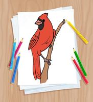 Comment dessiner des oiseaux Affiche