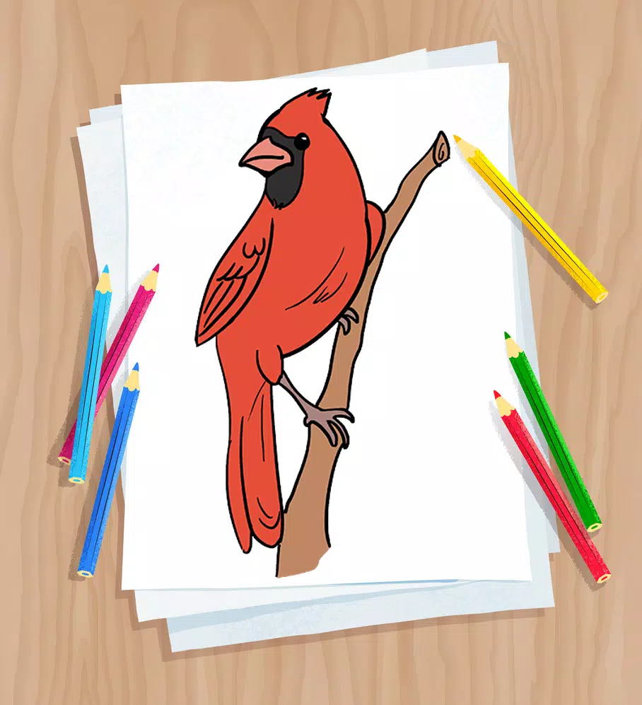 Cara Menggambar Burung for Android - APK Download