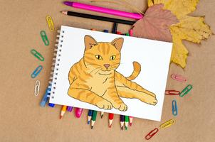 How To Draw Cats اسکرین شاٹ 3