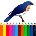 Coloring Birds