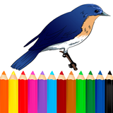 Pájaros para colorear icono
