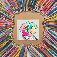 花の着色 スクリーンショット 3
