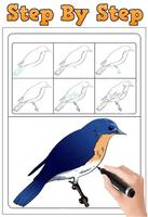 Cara Menggambar Burung Baru screenshot 1