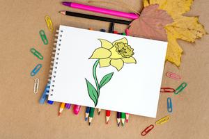 How To Draw Flowers screenshot 3