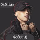 APK Cris MJ Musicas