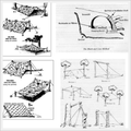 Animal Trap