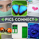 Pics Connect Puzzle 2022 icône