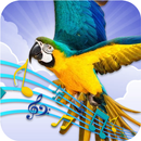 APK Birds Chirping & Wallpapers Free