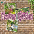 Flower Garden