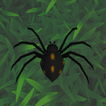 Hungry Spider icon