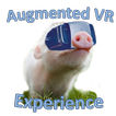 Augmented VR Experience Demo