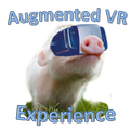 ”Augmented VR Experience Demo
