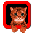 Cat simulator 3D icône