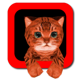 Cat simulator 3D APK