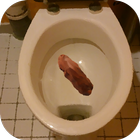 Poo simulator icône