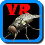 VR Fly