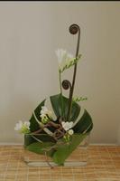 conception florale Ikebana capture d'écran 3