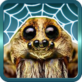 Spider Gagambattle!